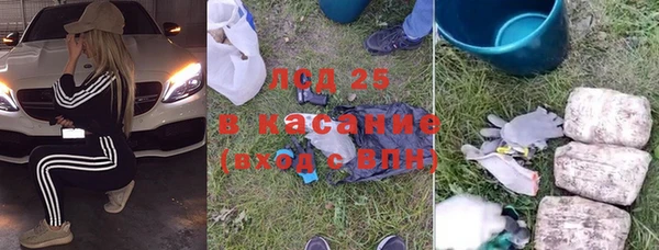ГАЛЛЮЦИНОГЕННЫЕ ГРИБЫ Баксан