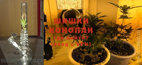 ГАЛЛЮЦИНОГЕННЫЕ ГРИБЫ Баксан